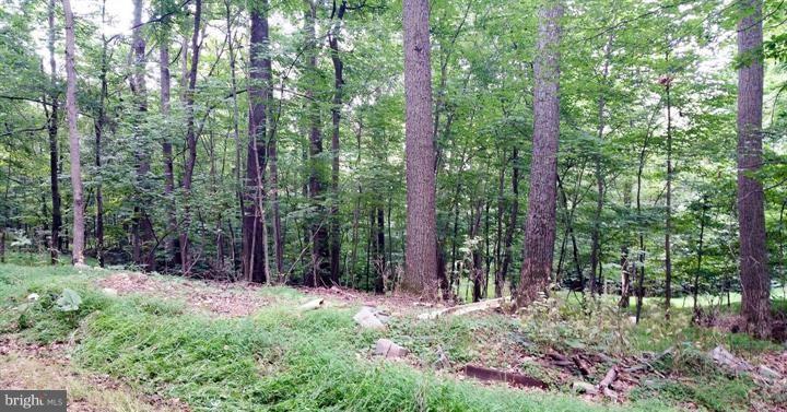12063 Cove Road Clear Spring, MD 21722 - Photo 11 of 17