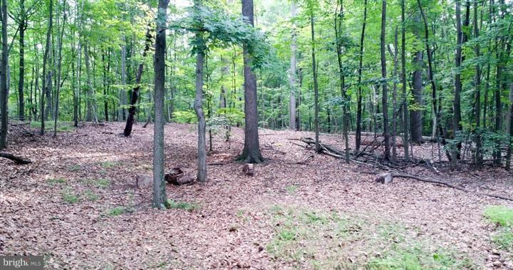 12063 Cove Road Clear Spring, MD 21722 - Photo 9 of 17