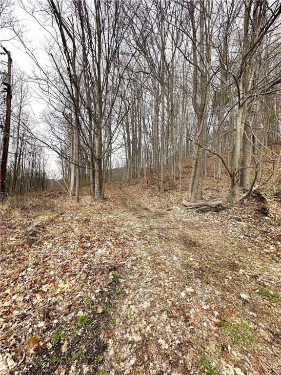 7607 Snell Road Urbana, NY 14840 - Photo 3 of 11 Beginning of driveway