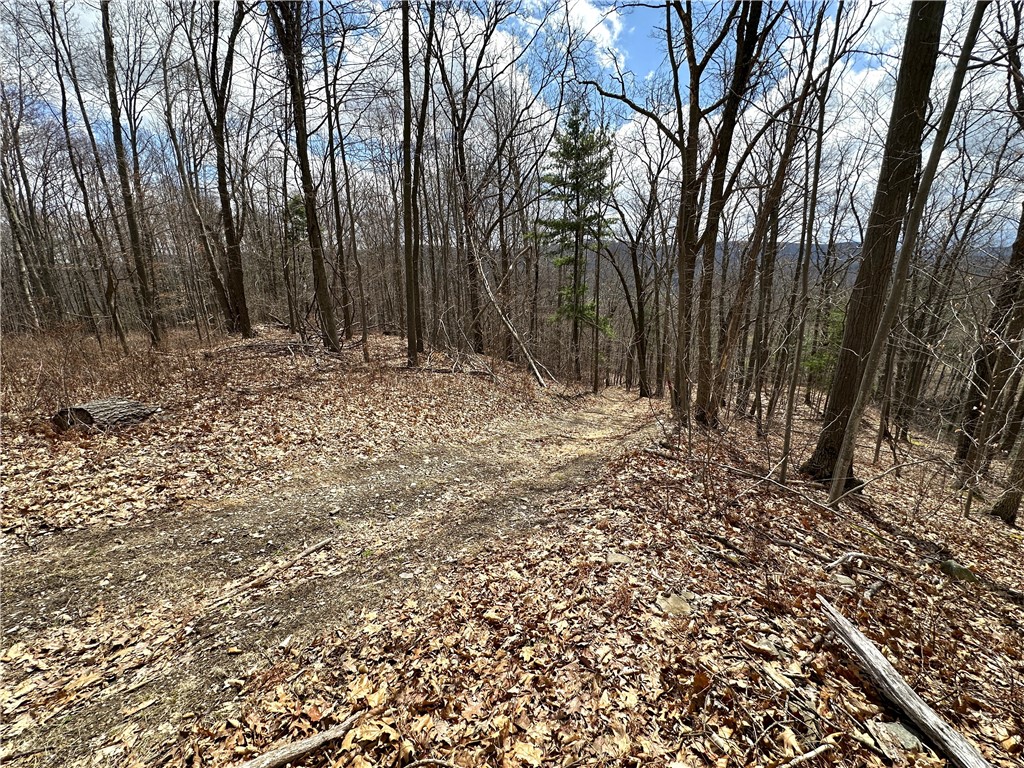 7607 Snell Road Urbana, NY 14840 - Photo 4 of 11 Top of driveway