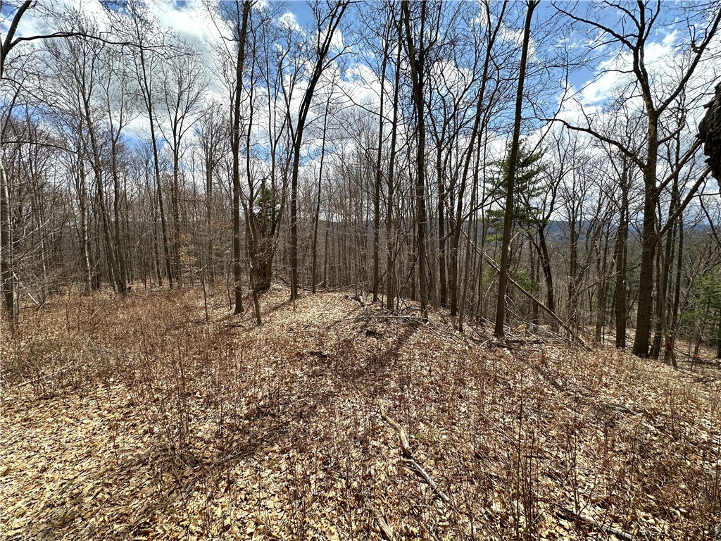 7607 Snell Road Urbana, NY 14840 - Photo 5 of 11