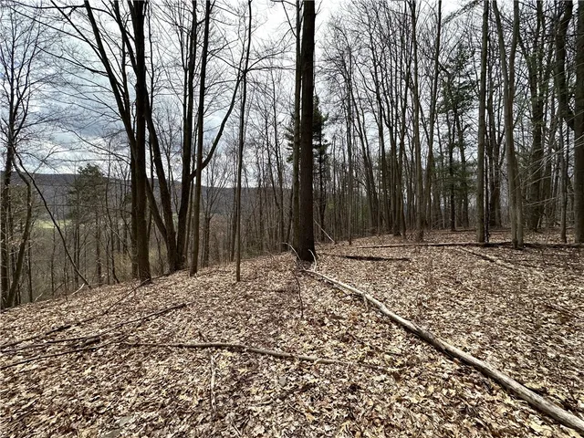 $94,500 | 7607 Snell Road, Urbana, NY 14840