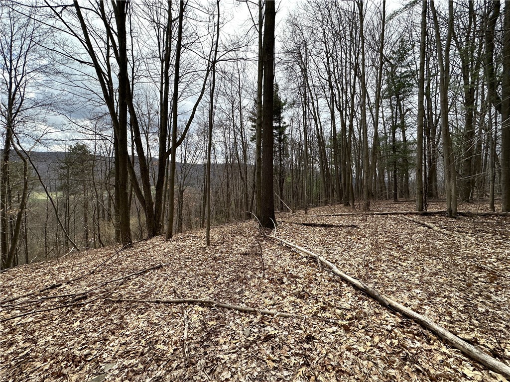 7607 Snell Road Urbana, NY 14840 - Photo 8 of 11