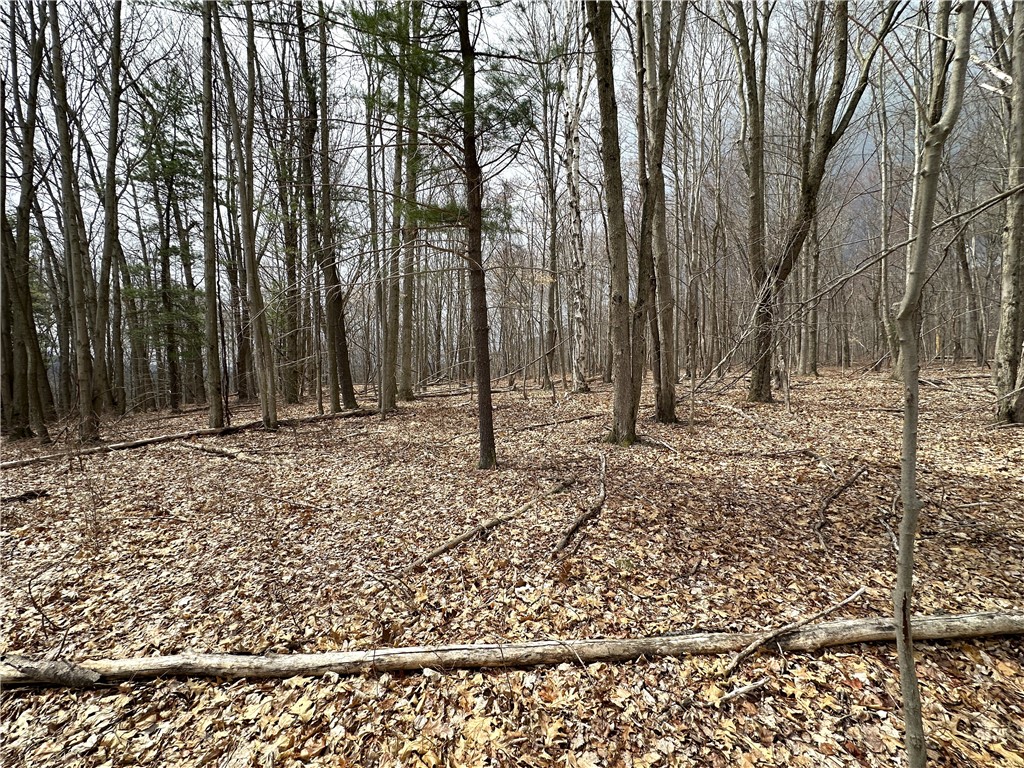 7607 Snell Road Urbana, NY 14840 - Photo 9 of 11