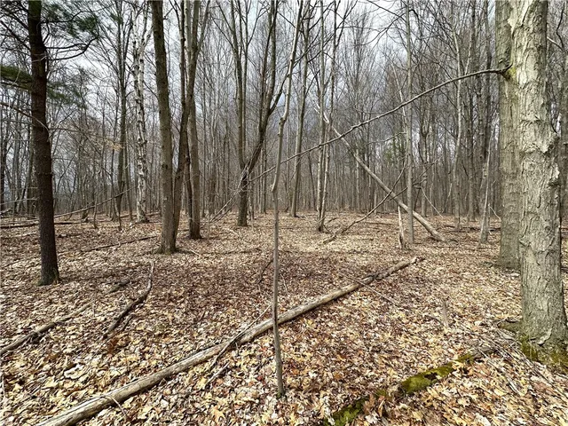 $94,500 | 7607 Snell Road, Urbana, NY 14840