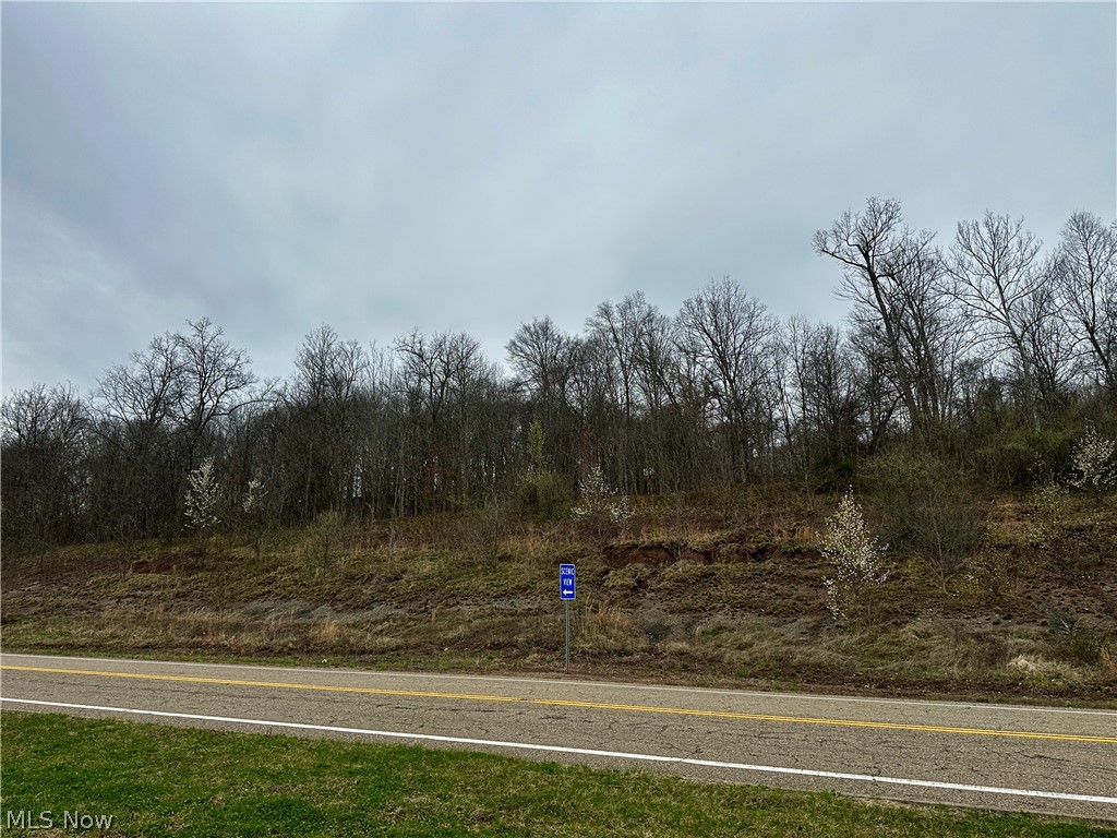 35840 Swan Road Long Bottom, OH 45743 - Photo 21 of 23