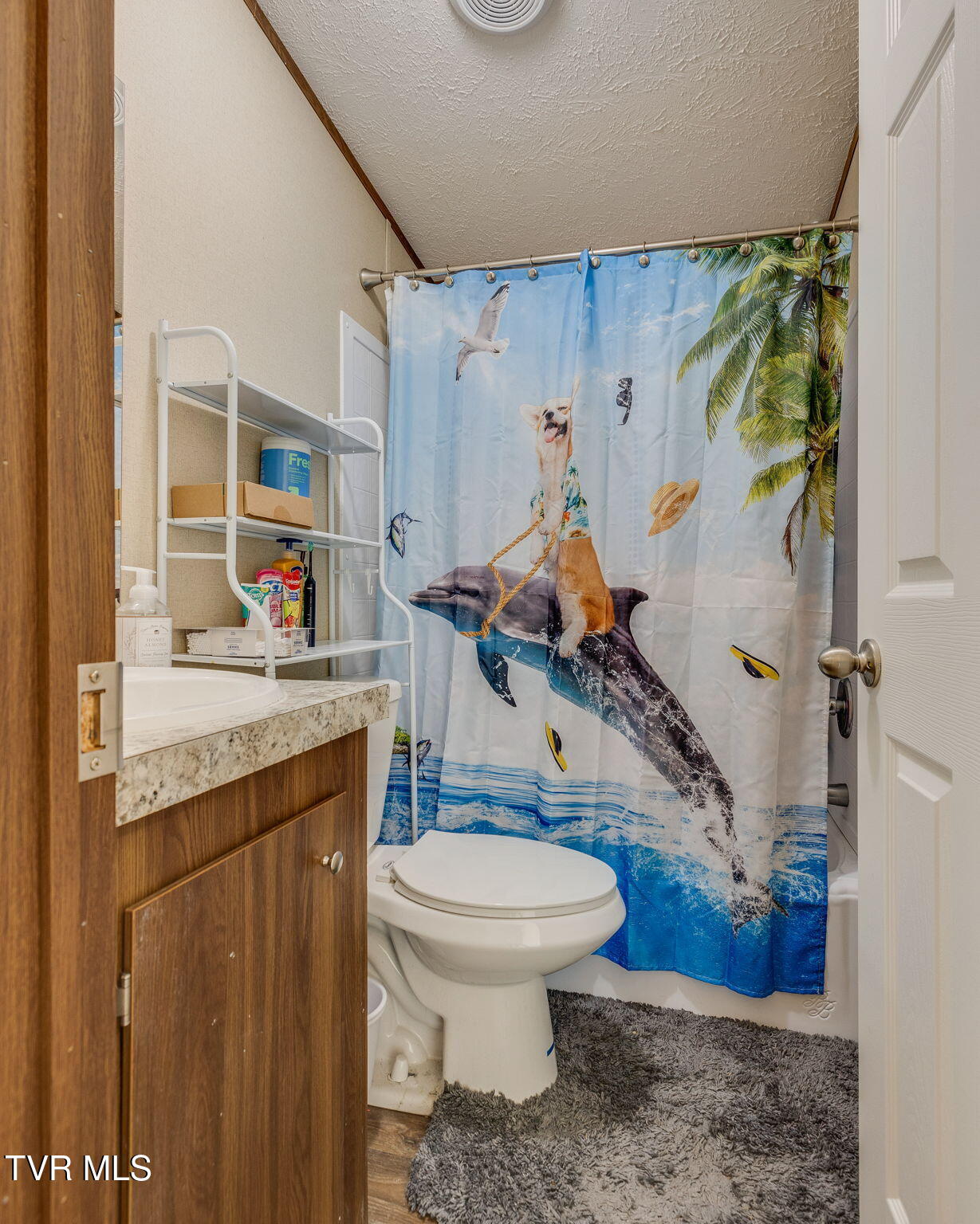 274 Memorial School Lane Duffield, VA 24244 - Photo 30 of 36 031