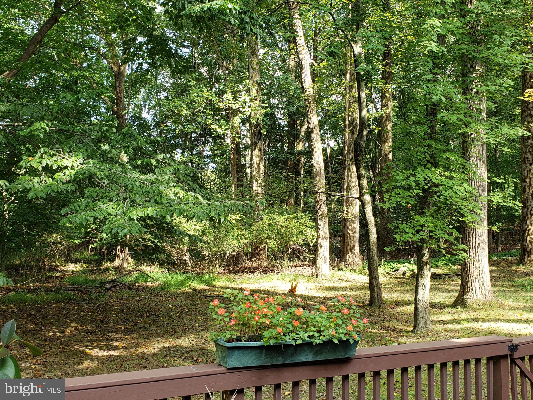 504 Williamson Circle Media, PA 19063 - Photo 31 of 33 a view of a yard with plants