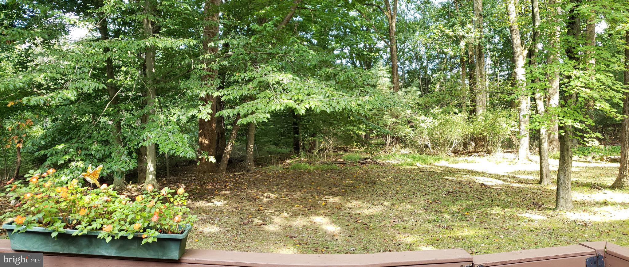 504 Williamson Circle Media, PA 19063 - Photo 32 of 33 a view of a yard with plants