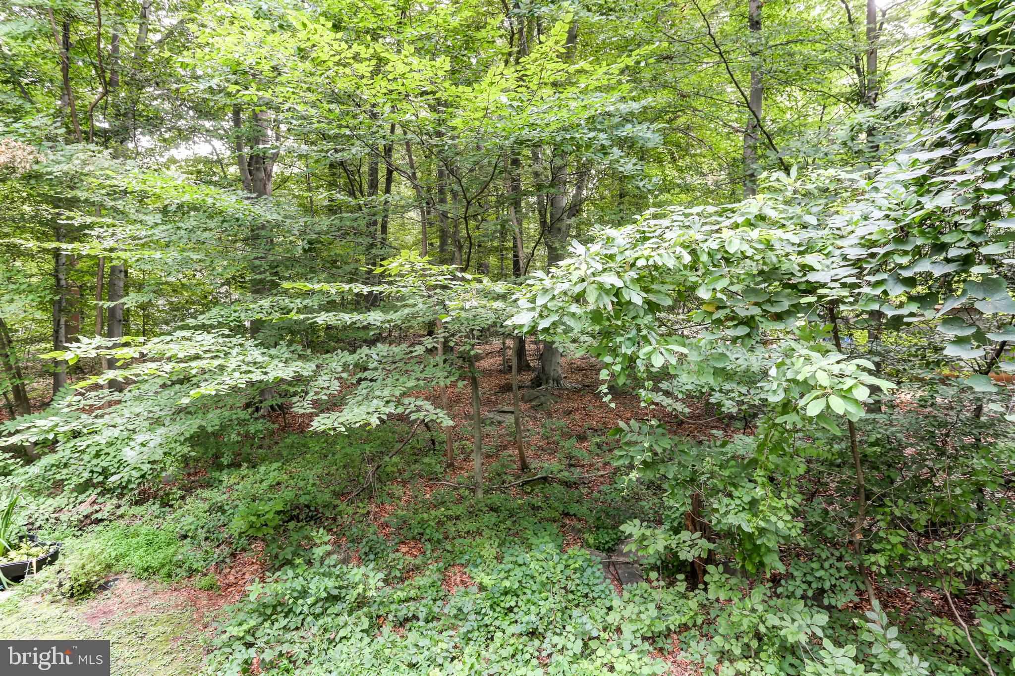 20 Ridge Road Etters, PA 17319 - Photo 70 of 78