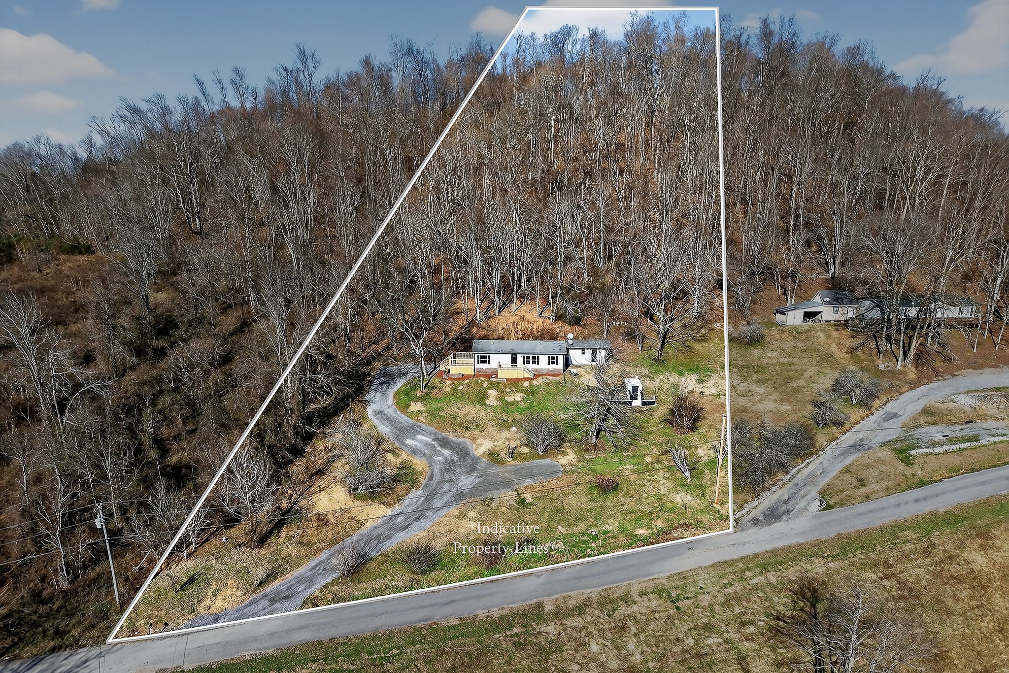593 Cedar Bend Road Beechgrove, TN 37018 - Photo 37 of 38 a view of a forest