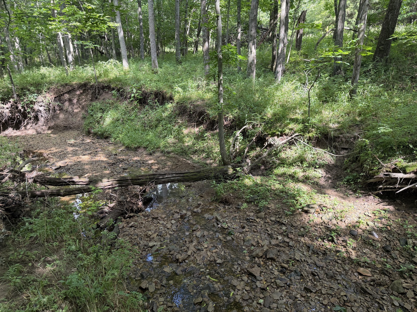 0 Landmark Road Iuka, IL 62849 - Photo 22 of 28