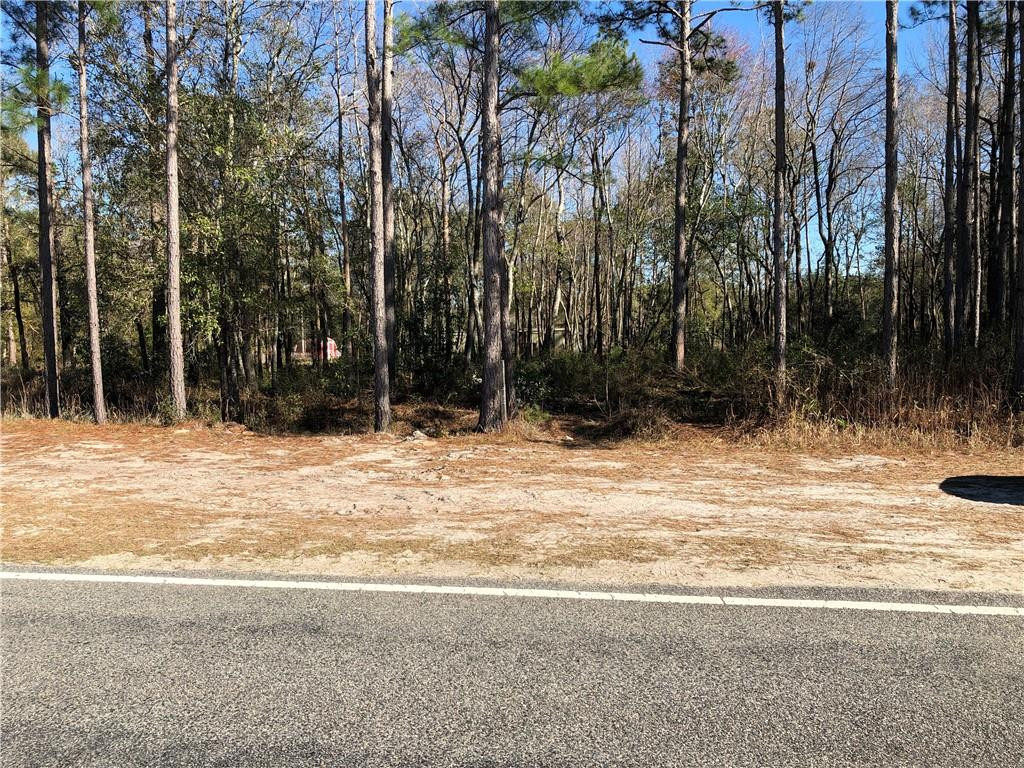 12310 Browntown Road Hortense, GA 31543 - Photo 1 of 1 Gallery Image 1