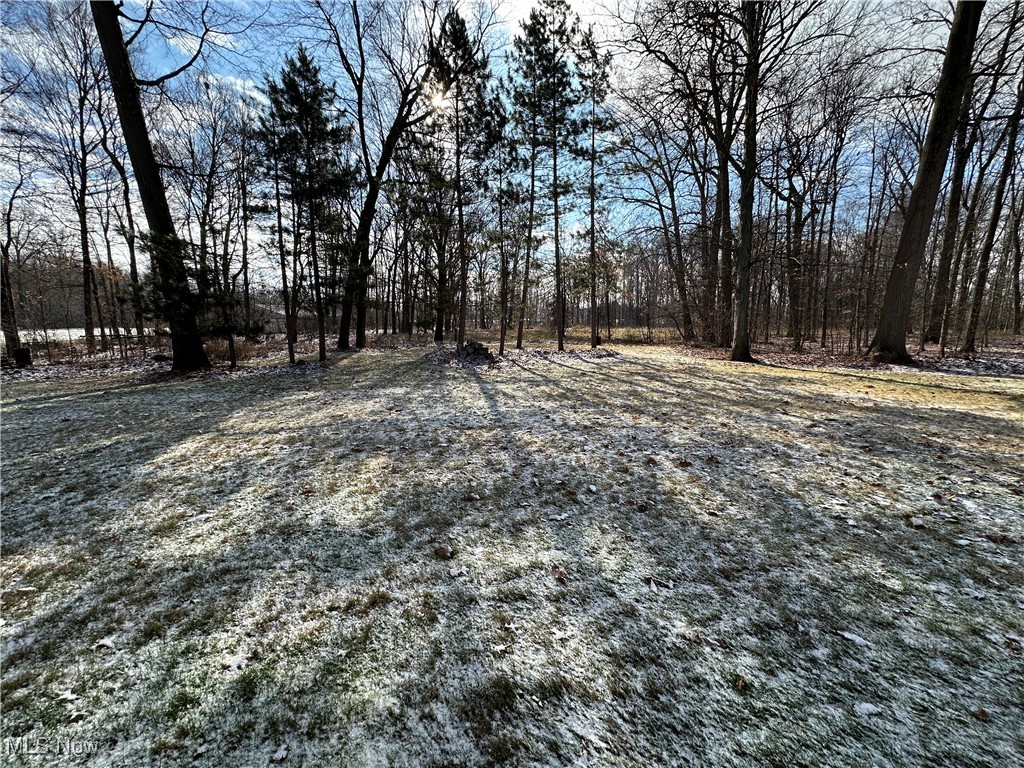 7869 Mc Quaid Road Wooster, OH 44691 - Photo 16 of 24