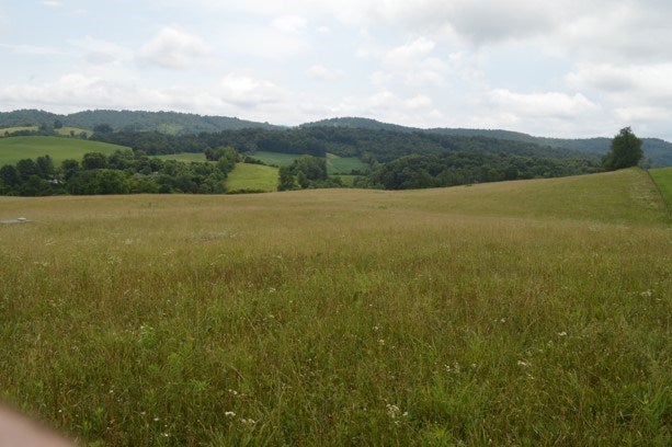 Tbd Cedar Branch Road Saltville, VA 24370 - Photo 36 of 41 Gallery Image 36