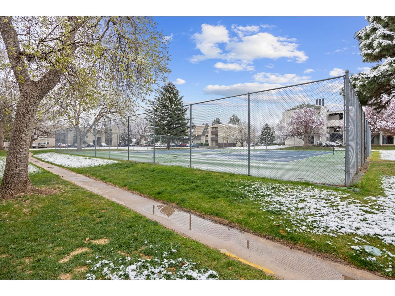 3400 Stanford Road, Unit B223 Fort Collins, CO 80525 - Photo 33 of 34 a view of a park with a large tree