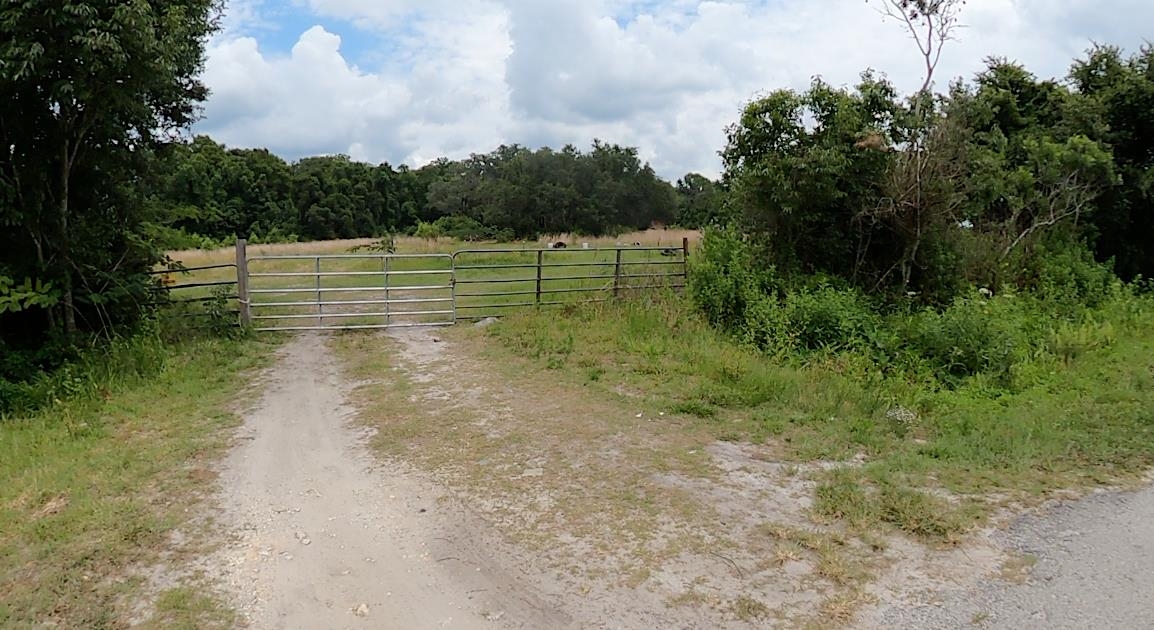 310 East River Road East Palatka, FL 32131 - Photo 8 of 9 a view of a lake with a trees