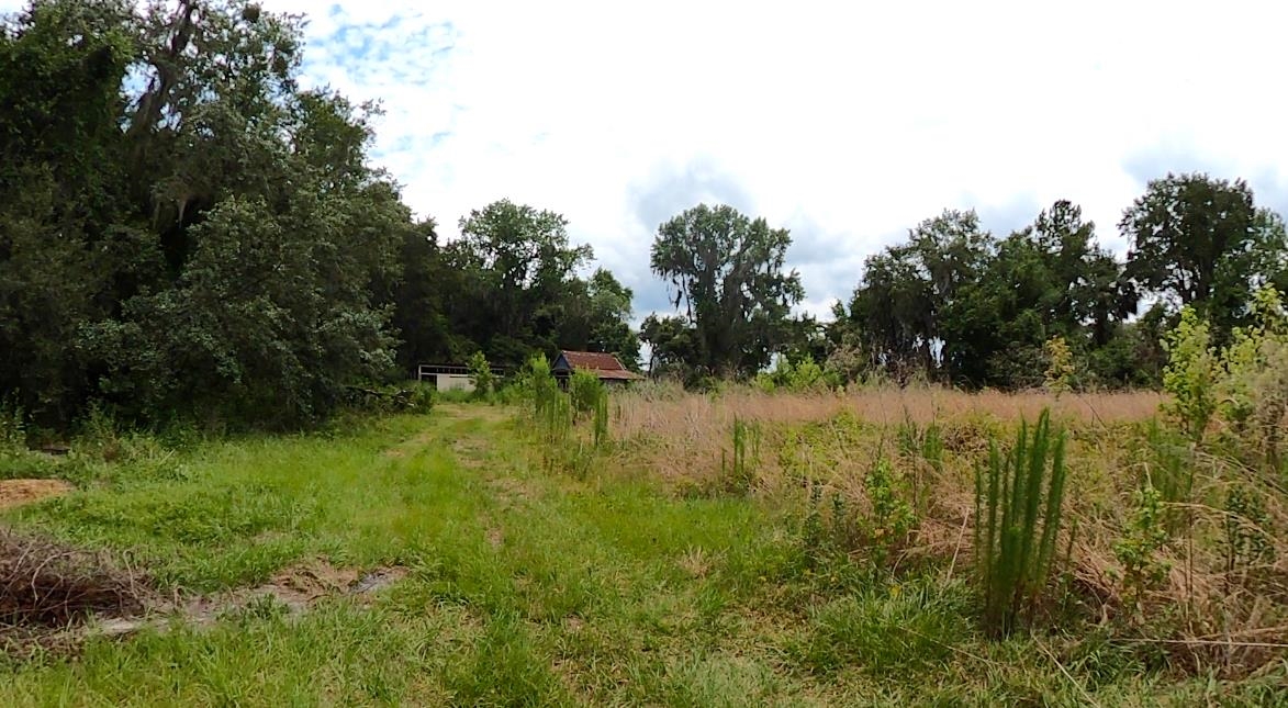 310 East River Road East Palatka, FL 32131 - Photo 9 of 9 a view of lake with green space