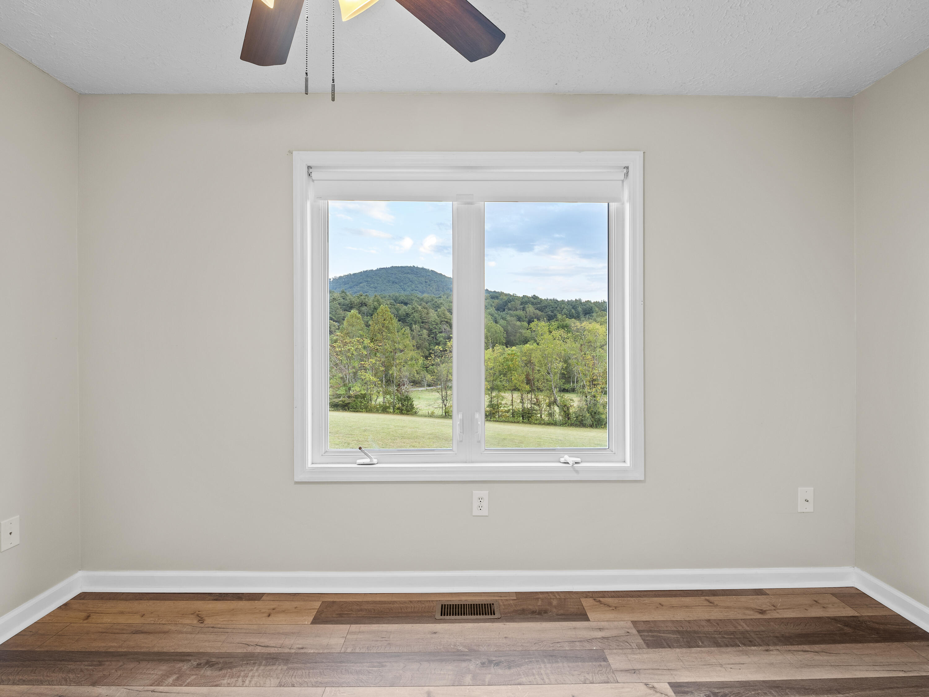 885 Whetstone Road Ferrum, VA 24088 - Photo 33 of 64 a view of a room with wooden floor and window