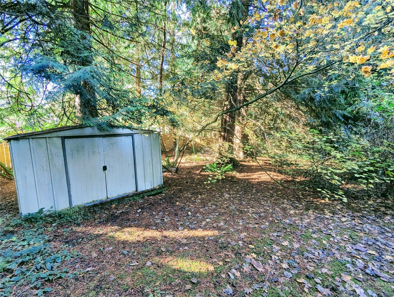 19628 35th Avenue Southeast Bothell, WA 98012 - Photo 29 of 31 a view of backyard and trees