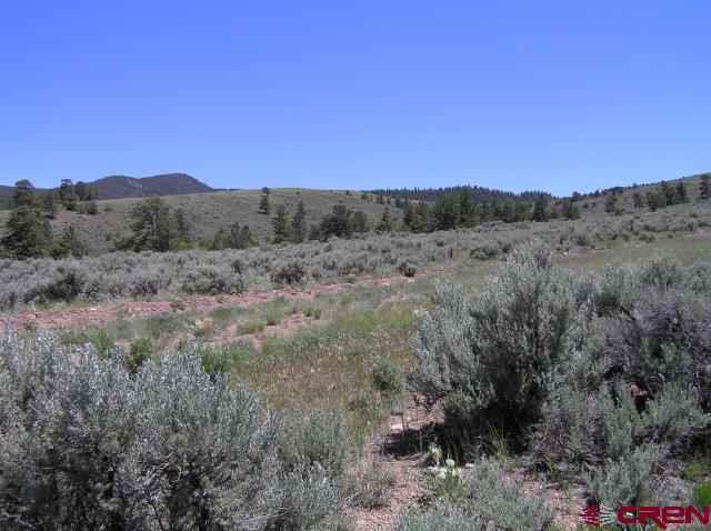 7663 Froom Road Fort Garland, CO 81133 - Photo 2 of 3 Gallery Image 2
