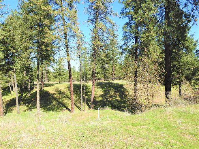 32316 North Hardesty Road Chattaroy, WA 99003 - Photo 11 of 15