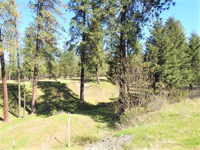 32316 North Hardesty Road Chattaroy, WA 99003 - Photo 13 of 15