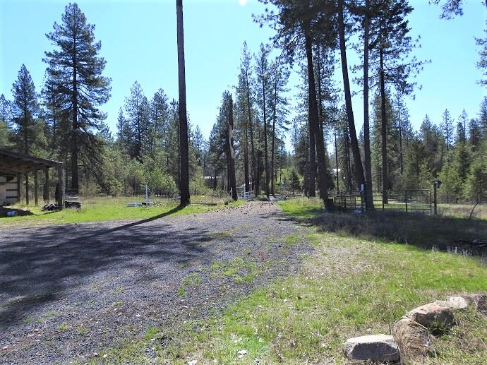 32316 North Hardesty Road Chattaroy, WA 99003 - Photo 14 of 15