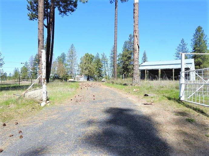 32316 North Hardesty Road Chattaroy, WA 99003 - Photo 15 of 15