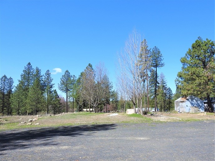 32316 North Hardesty Road Chattaroy, WA 99003 - Photo 6 of 15