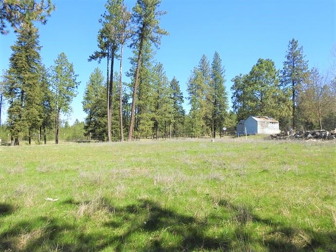 32316 North Hardesty Road Chattaroy, WA 99003 - Photo 8 of 15