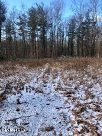 23 Shepard Road Blandford, MA 01008 - Photo 11 of 12 photo (12)