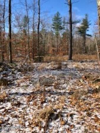 23 Shepard Road Blandford, MA 01008 - Photo 6 of 12 photo (6)