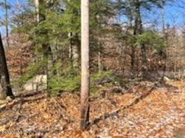 23 Shepard Road Blandford, MA 01008 - Photo 7 of 12 photo (8)