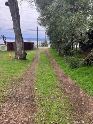 a view of a backyard with a tree