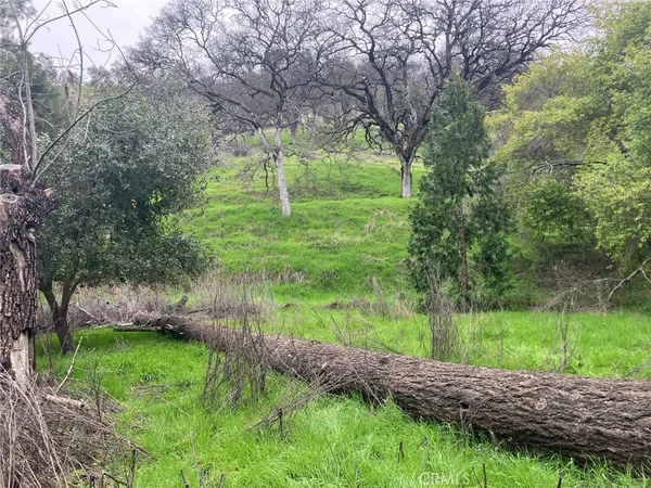 a view of backyard with green space