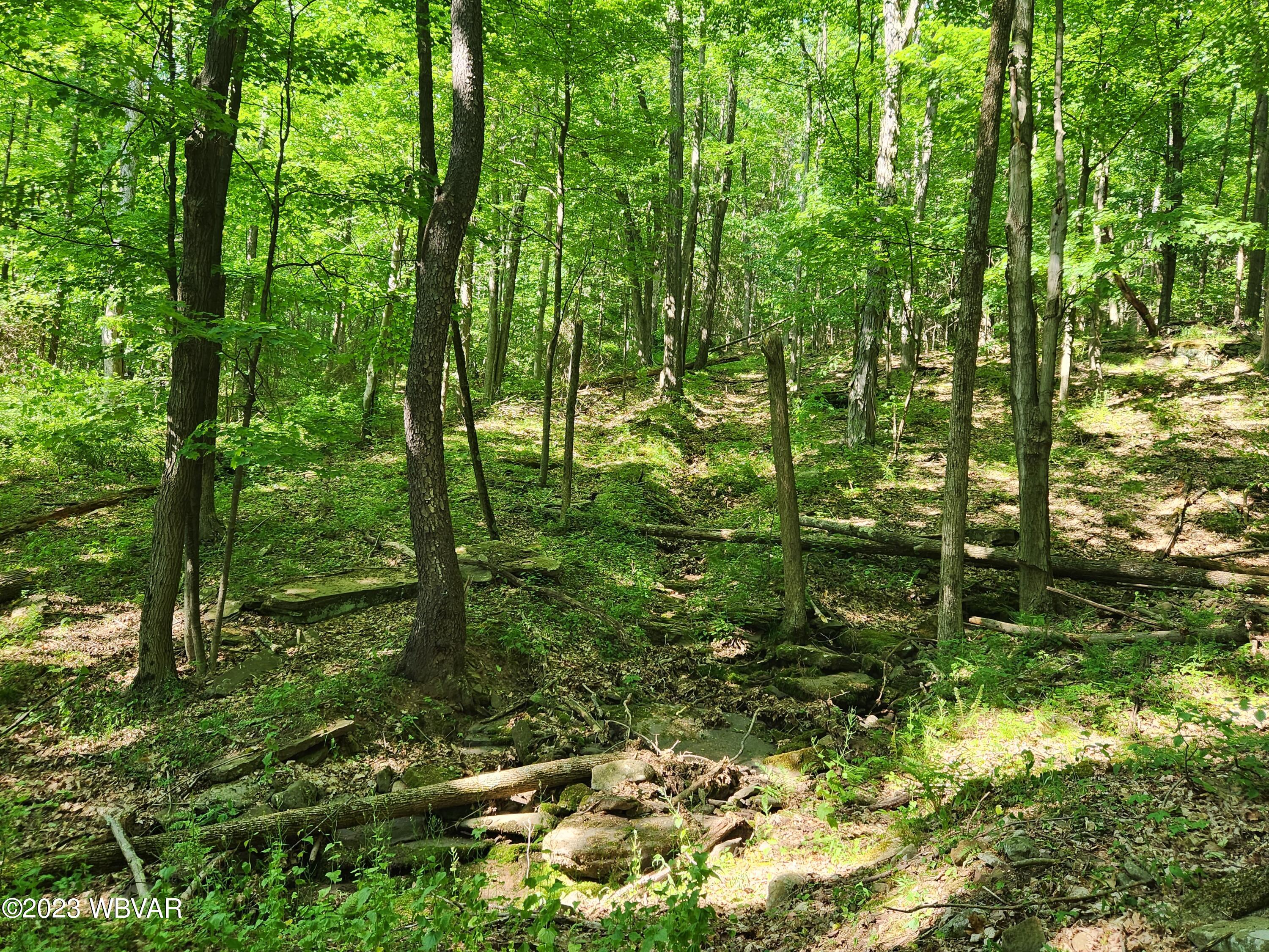 Champion Hill Road Muncy Valley, PA 17758 - Photo 17 of 19 Gallery Image 17