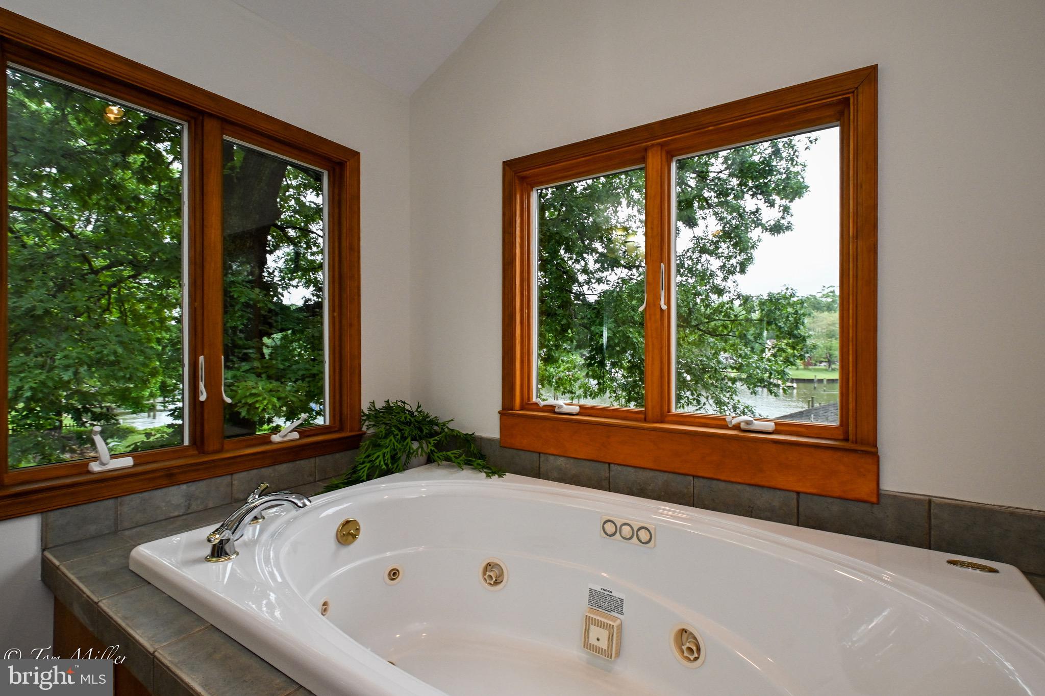1135 Beech Drive Baltimore, MD 21220 - Photo 32 of 53 a bath tub sitting in front of a window