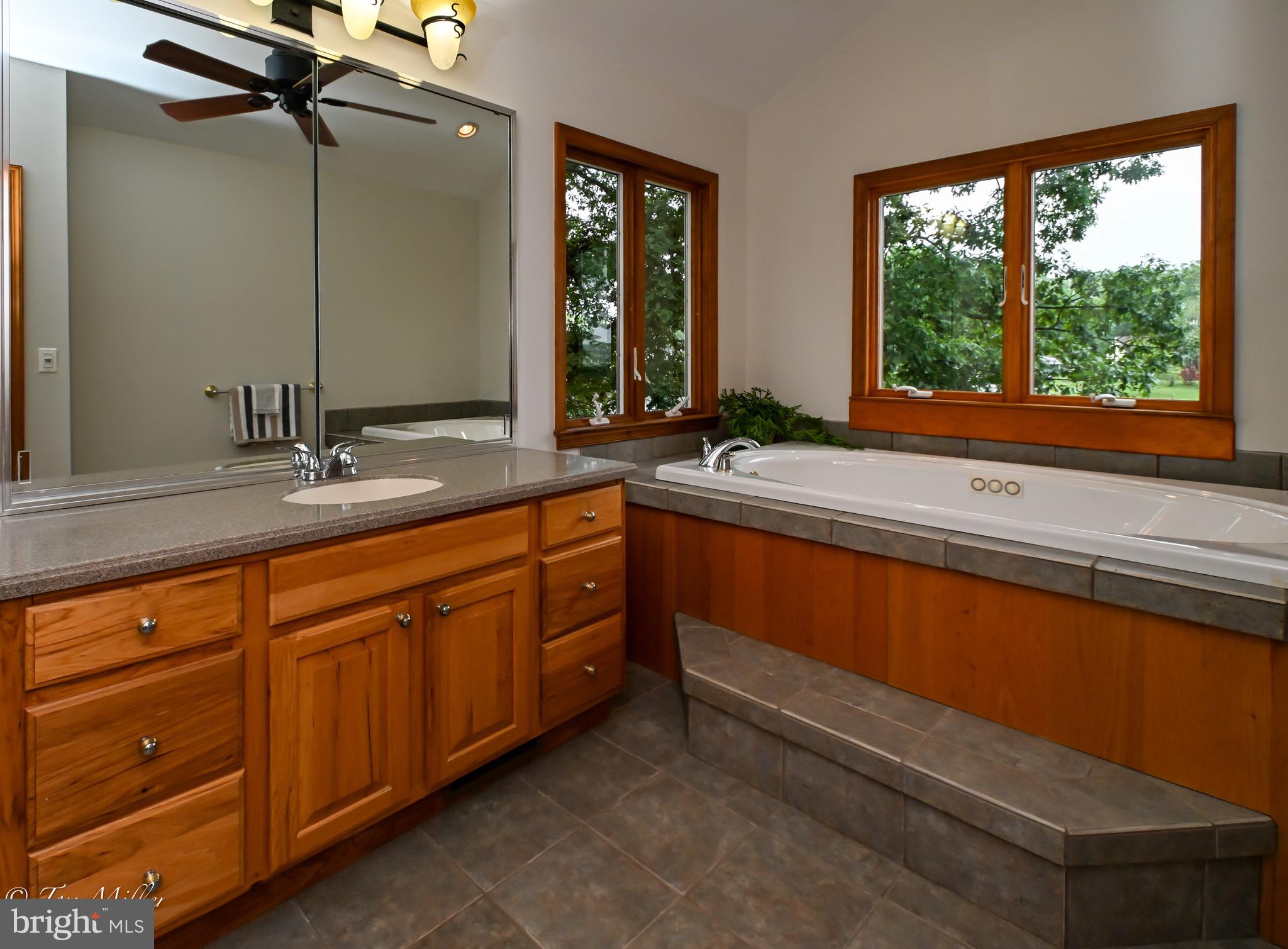 1135 Beech Drive Baltimore, MD 21220 - Photo 33 of 53 a bathroom with a sink and a large mirror
