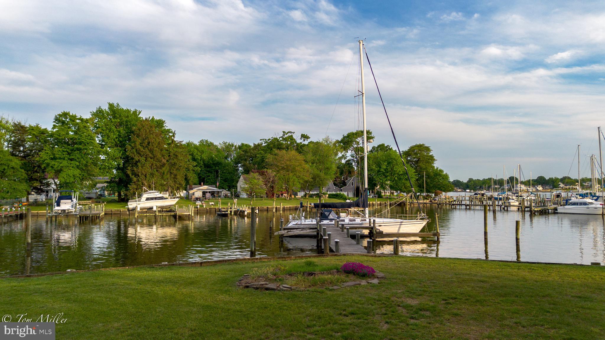1135 Beech Drive Baltimore, MD 21220 - Photo 4 of 53 a view of a lake with houses