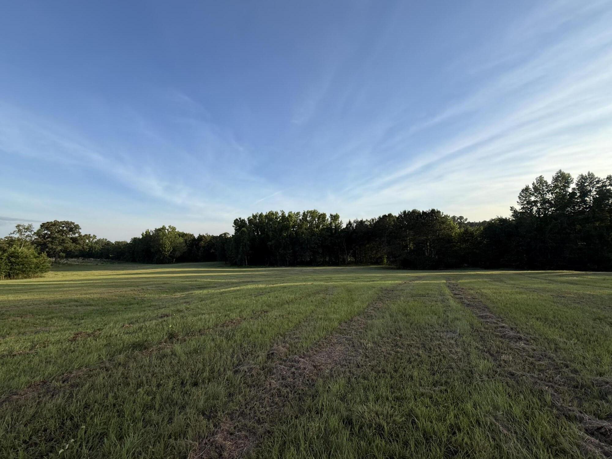 Lot 12 Reeves Street Aiken, SC 29805 - Photo 2 of 22