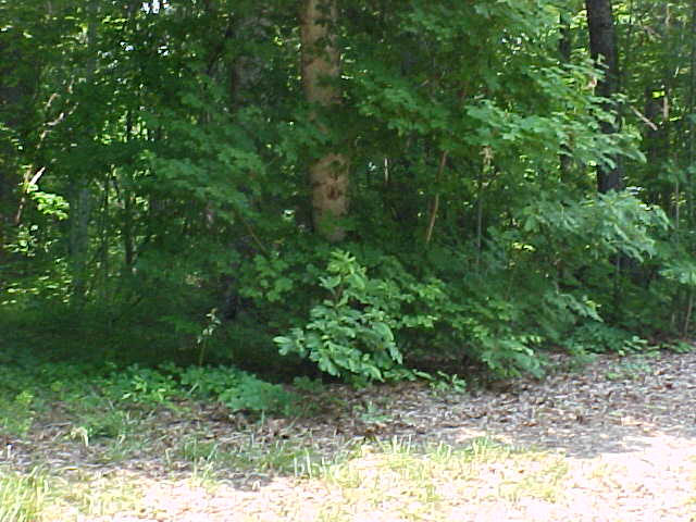 Lot 52 Cherokee Drive Rutledge, TN 37861 - Photo 3 of 3 Lot 52 (2)