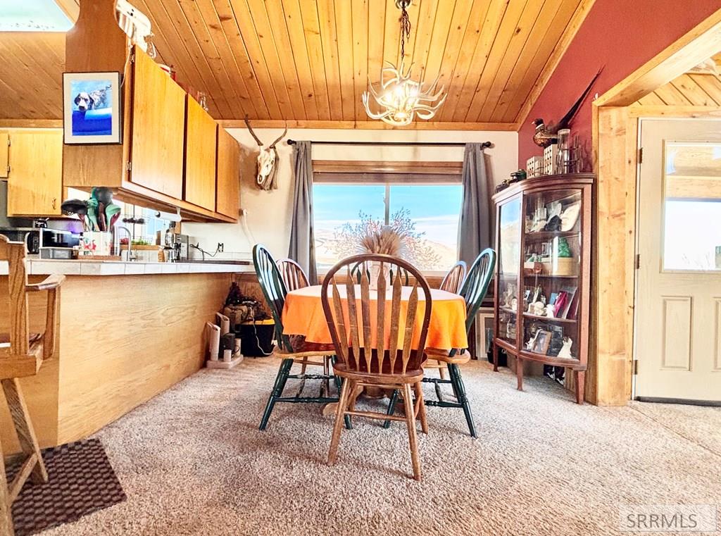 20 Stephens Road Challis, ID 83226 - Photo 3 of 50