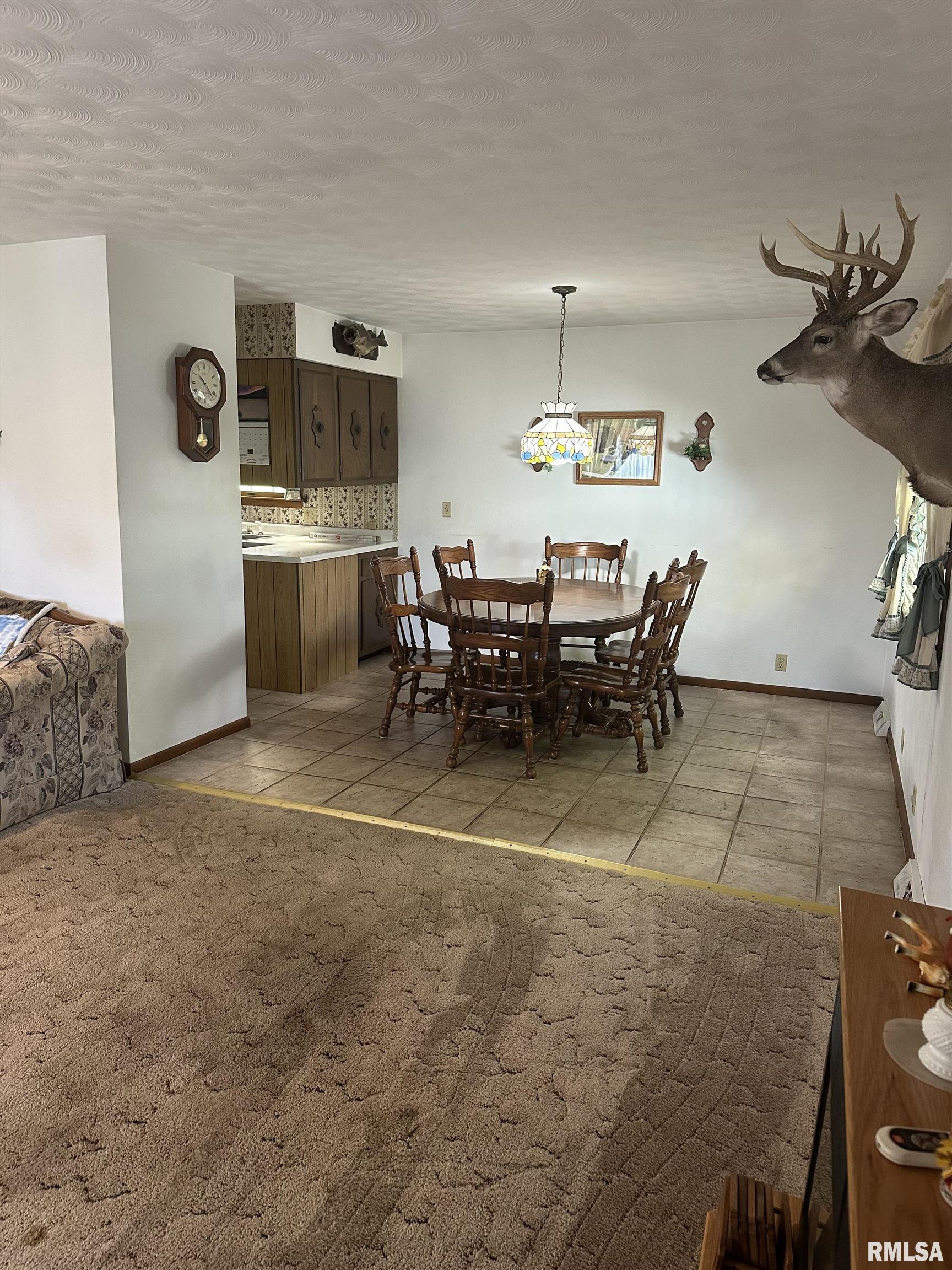 5456 Cross Church Road Pinckneyville, IL 62274 - Photo 8 of 24