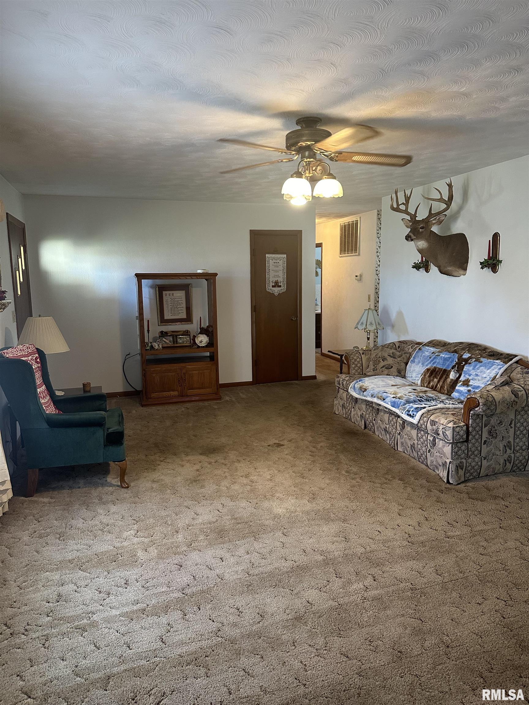 5456 Cross Church Road Pinckneyville, IL 62274 - Photo 9 of 24
