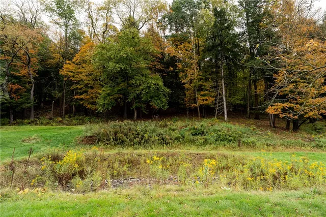 $50,000 | 20 Park Place, Delhi, NY 13753