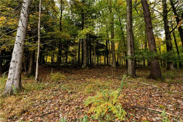 $50,000 | 20 Park Place, Delhi, NY 13753