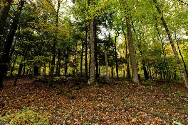 $50,000 | 20 Park Place, Delhi, NY 13753