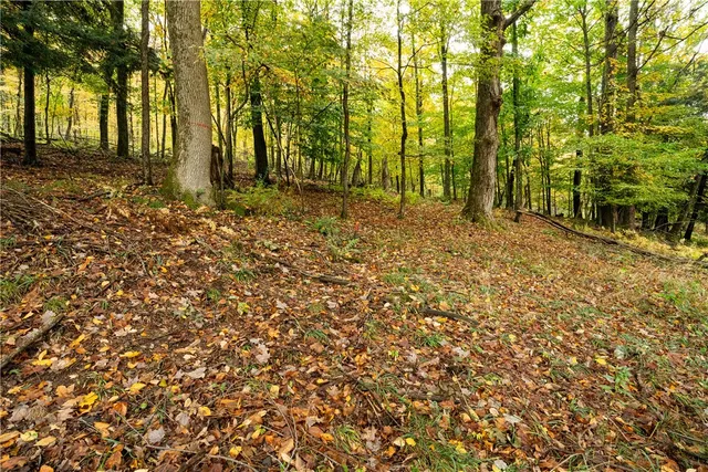 $50,000 | 20 Park Place, Delhi, NY 13753