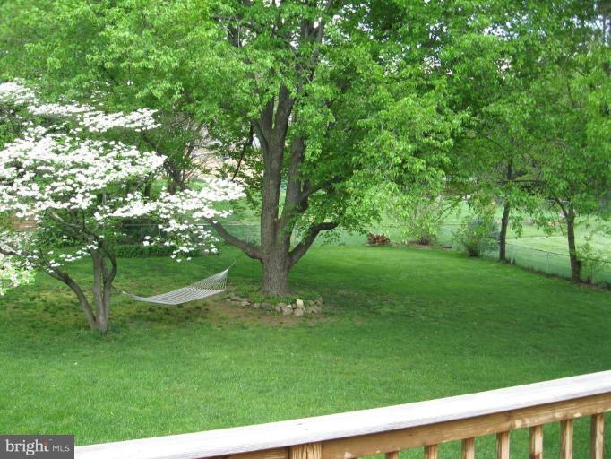 19113 Bloomfield Road Olney, MD 20832 - Photo 15 of 20 Gorgeous Green Back Yard from Deck